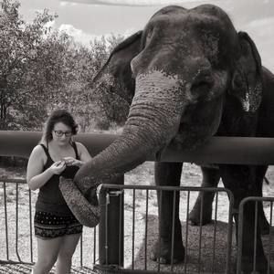 Meet your Posher, Taylor